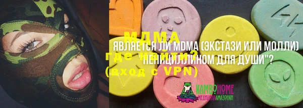 сатива Кулебаки