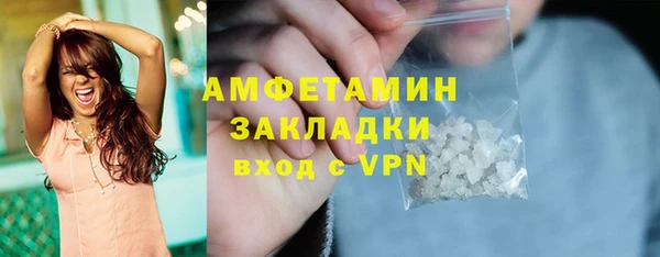 сатива Кулебаки