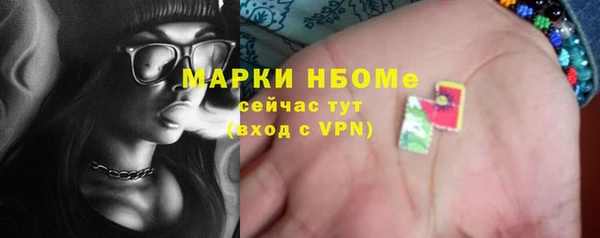 сатива Кулебаки