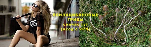 сатива Кулебаки
