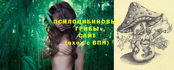 сатива Кулебаки