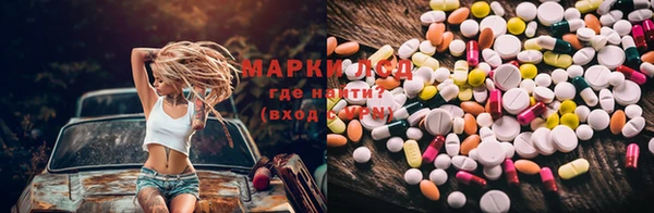 сатива Кулебаки