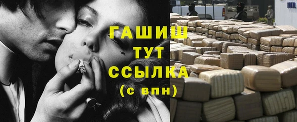сатива Кулебаки