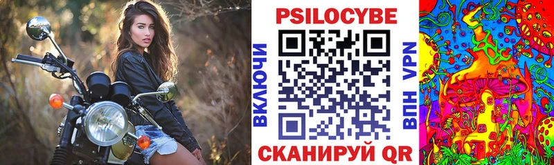 где можно купить   mega маркетплейс  Галлюциногенные грибы прущие грибы  Шали 