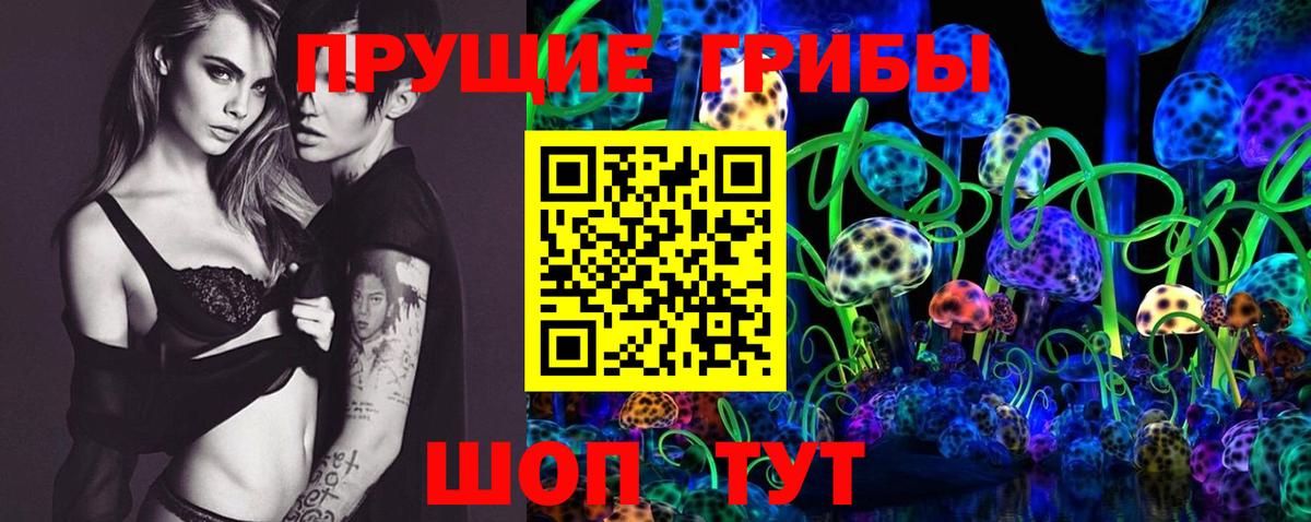 где купить   Галлюциногенные грибы мухоморы  Шали  Галлюциногенные грибы Psilocybe 