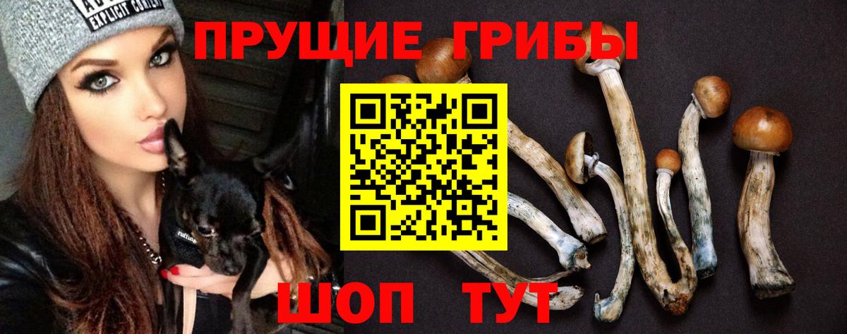 Галлюциногенные грибы мухоморы Шали