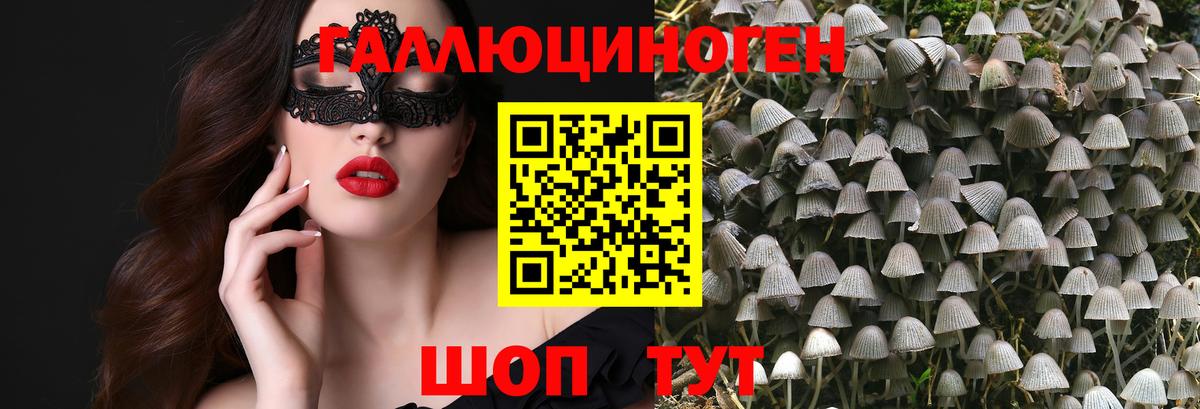 Каннабис  Шали  Героин  ГАШИШ  Мефедрон кристаллы  Вход с VPN 