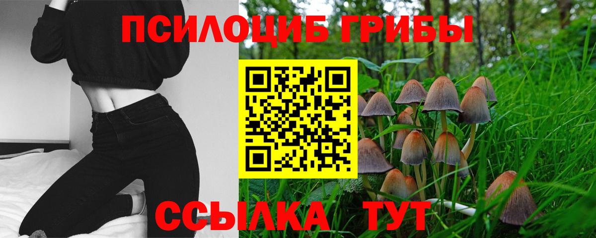 Псилоцибиновые грибы Psilocybine cubensis Шали