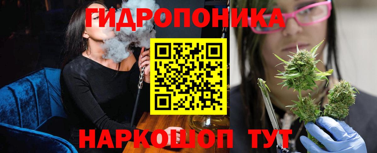 Марихуана конопля Шали